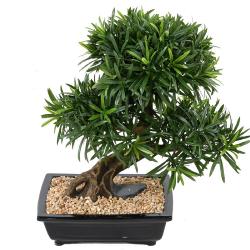 Bonsa Podocarpus Artificiel H 50 cm D 45 cm en pot
