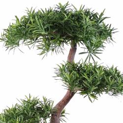 Bonsaï Podocarpus Artificiel H 100 cm D 70 cm en pot