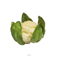 Choux fleur artificiel legume en mousse PU D 15 cm H 12 cm
