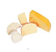 Assortiment de 5 fromages en lot de 5 en Plastique souffl L 60-155 mm