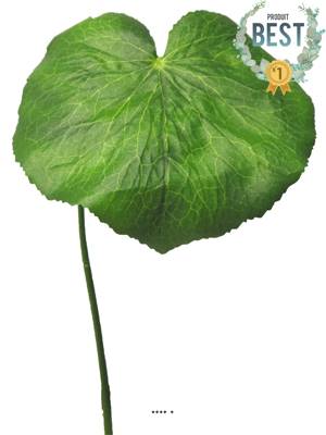 Feuilles de Galax artificielles, en lot de 12, D 20 cm - BEST