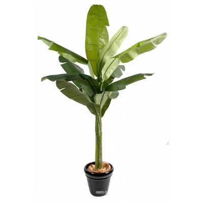 Bananier en pot artificiel H 150 cm Superbe de réalisme