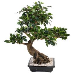 Bonsa Ficus Artificiel H 80 cm D 77 cm en pot