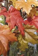 Erable Arbre Artificiel H 330 cm Automnal tres dense en pot