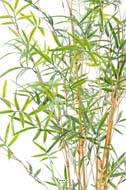 Bambou artificiel cannes jaunes et feuillage vert en plastique pour exterieur H 195 cm Vert