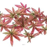 Feuilles d'erable artificielles en tissu Vertes et roses assorties 24 pcs