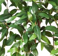 Chute de Tradescantia feuillage artificiel Vert en piquet 105 cm Vert