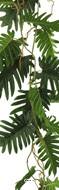 Guirlande de Philodendron vert artificiel selloum H 105 cm L 38 cm - Ultra-réaliste