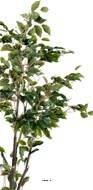 Ficus Benjamina Artificiel tronc PE en pot superbe H150 cm D80 cm Vert