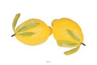 Citron jaune artificiel géant X 2 en Plastique soufflé H 260x150 mm