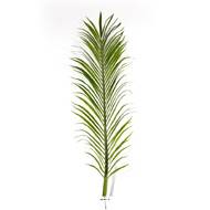 Feuilles de Palmier Phoenix artificielles x 18  H 165 cm