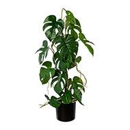 Superbe philo artificiel en pot sur tuteur effet bois H 64 cm