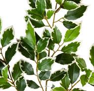 Branche de feuillage Ficus artificiel, 64 feuilles, H 48 cm Blanc-vert