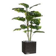 Pothos artificiel en pot 19 grandes feuilles H 120 cm