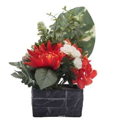 jardinièrre pot beton Chrysanthème, Hortensia, Dahlia et eucalyptus Orange