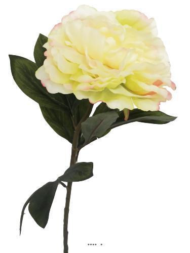 Pivoine artificielle crème Vert H 63 cm très belle tête