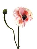 Pavot artificiel H 60 cm 1 fleur et 1 bouton Superbe fleur Rose - BEST