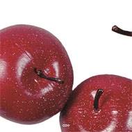 Pomme artificielle moyenne Rouge X 3 en Plastique soufflé H 65x75 mm