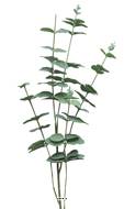 Eucalyptus artificiel en branche, 5 ramures, H 90 cm - BEST