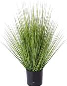 Isolepsis Herbes Graminees artificielles Vert H 60cm en pot D 30cm