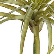 Tillandsia artificiel en piquet H 23 cm D 30 cm vert aloe