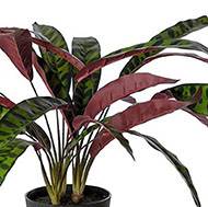 Calathea artificiel en pot H 60 cm D 65 cm qualité haut de gamme