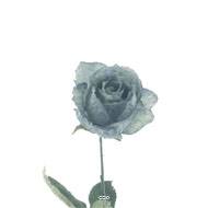Rose Joy artificielle H 64 cm 1 tete D 7 cm 3 feuilles effet texturé Gris-Bleu