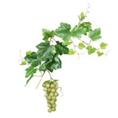 Grappe de raisin vert artificiel L 15 cm avec feuillage vigne Lg 45 cm