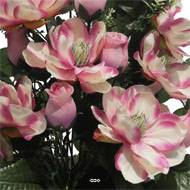 Vasque de Magnolia, bouton de rose, ficus pour la toussaint Rose-crème