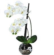 Orchidée factice 2 hampes en boule céramique Argent H50cm Blanc-neige