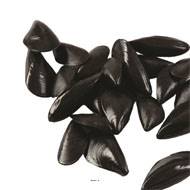 Moules artificielles assorties X 24 en Plastique soufflé L 70-90 mm