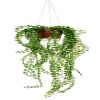 Pilea artificiel en pot suspendu L 55 cm, D 18 cm