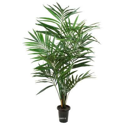 Palmier Kentia artificiel H 120 cm Dense et Aerien en pot