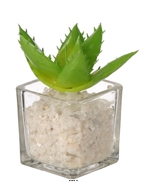 Agave artificielle succulente cacte en pot verre et cailloux blanc