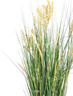 Isolepsis artificiel Graminée Papyrus scirpes H 90 cm en pot