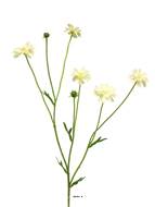 Centaurée artificielle, 3 ramures, H 64 cm Crème - BEST