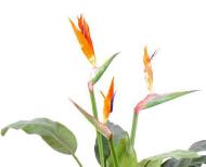 Strelitzia artificiel en pot à 3 fleurs H98 cm