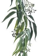 Guirlande de feuilles d'eucalyptus vertes 185 cm × 30 cm | Ultra-réaliste