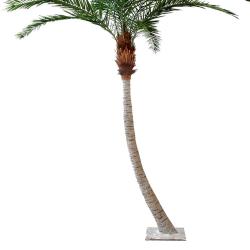 Palmier Phoenix Artificiel Courbe H 340 cm D 210 cm 11 palmes sur platine
