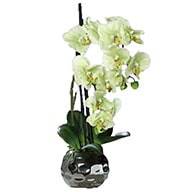 Orchide factice 2 hampes en boule ceramique Argent H50cm Crme vert