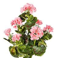 Geranium artificiel en piquet 40 cm 7 tetes superbes feuilles exterieur Rose