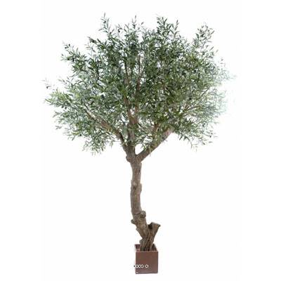 Olivier artificiel H270 cm L210 cm avec olives tronc artificiel en pot