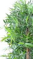 Bambou feuillage PE anti UV en Haie socle bois L110cm H110cm Vert