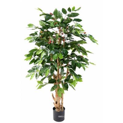 Cafeïer artificiel en pot, H 150 cm, D 70 cm, tronc noueux