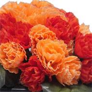 Bac carré fleurs artificielles œillets Rouge-orange pour la Toussaint