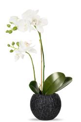 Orchidee artificielle 2 hampes en pot H 40 cm touché réel Blanc neige