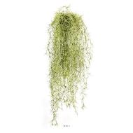 Grande chute de feuillage long hair L 80 cm Vert-Blanc 