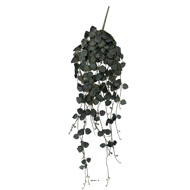 Chute de ceropegia artificiel, 258 feuilles H 70 cm