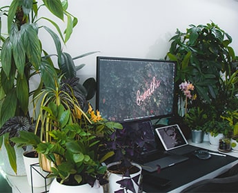 Blog - Dcorer son bureau avec des plantes artificielles