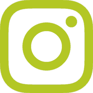 logo instagram artificielles.com, spcialiste des plantes et fleurs artificielles
